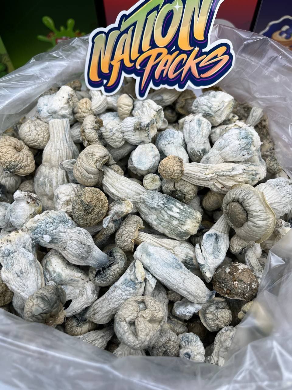 mushrooms 🍄